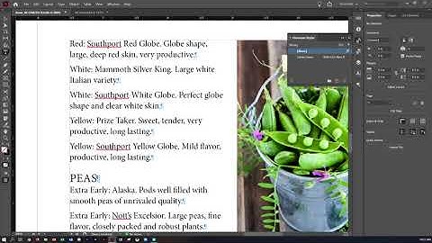 IN CC  2020 CIAB CH 9 Working with Styles Danielle Oser Source