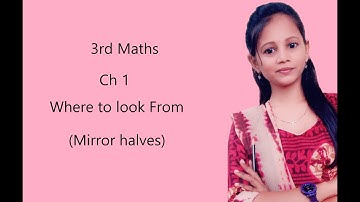 Class 3 Maths ch 1 Where to look from ... mirror halves
