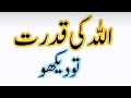 Allah ki Kudrat to Dekho