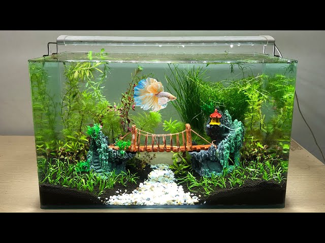 DIY Simple Aquasacpe Betta Fish For Office - How To Make Aquarium Decoration  Ideas - MR DECOR #178 