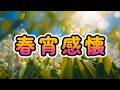 春宵感懐