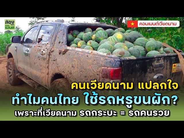 เวียดนามแปลกใจ...ทำไมคนไทย เอารถหรูมาขนผัก?  | คอมเมนต์เวียดนาม class=