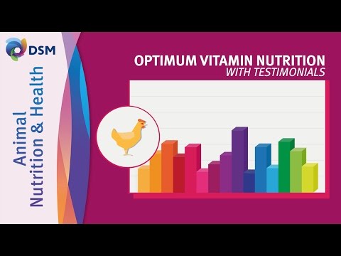 Optimum Vitamin Nutrition (OVN™) di DSM Animal Nutrition and Health