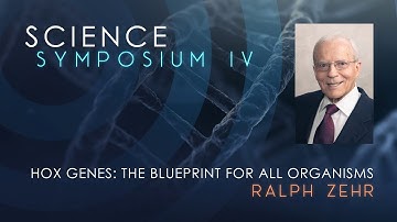 HOX Genes: The Blueprint for all Organisms—Science Symposium IV
