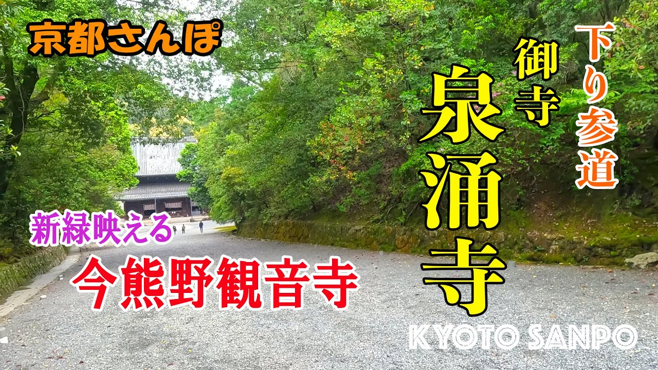 [京都お散歩4K] 2023/4/30 雨上がり 下り参道『泉涌寺』青もみじ映える 『今熊野観音寺』 新緑さんぽ kyoto