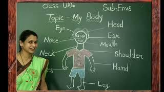 HUMAN BODY