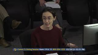 "TxDOT's I-35 expansion study is an embarrassment" - Miriam Schoenfield