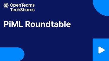 PiML Roundtable