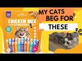 Treats My Cats Beg For Every Single Day