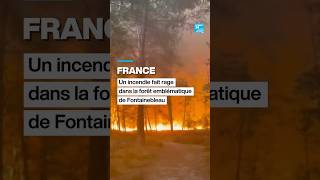 #Incendie à Fontainebleau : la forêt emblématique au sud de #Paris en proie aux feux • FRANCE 24