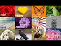 We Love all the Colors! | Color Song for Preschoolers Kids | Red Red Strawberry🍓🍓🍓🍓🍓🍓|Nursery Rhyme