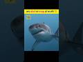 Shark उतने ख़तरनाक नहीं जितना आप सोचते हो || Realty of Sharks || #shorts #viral #facts