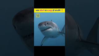 Shark उतने ख़तरनाक नहीं जितना आप सोचते हो || Realty of Sharks || #shorts #viral #facts