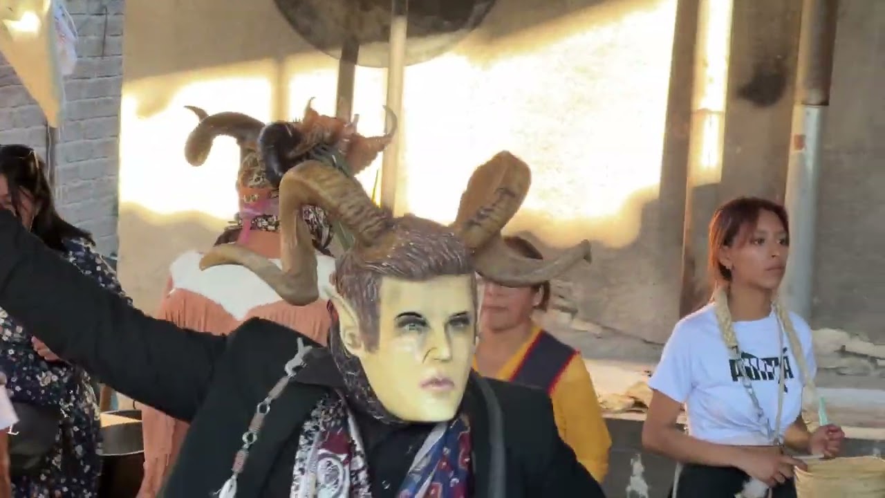 Sn Miguel Papalutla Marzo 15 2025 Parte 3