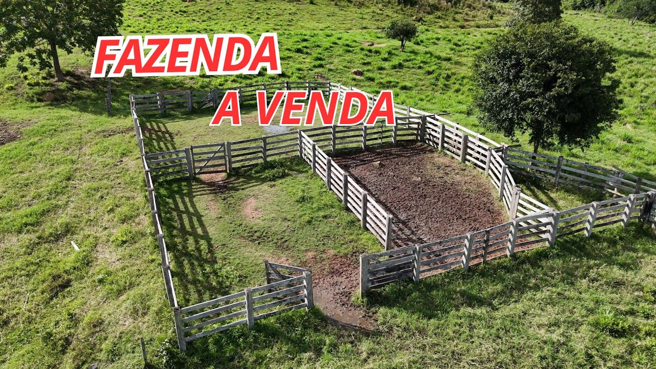 Fazenda a venda! 80 alqueires. 387 hectares,  60 km de São felix do xingu Pará 