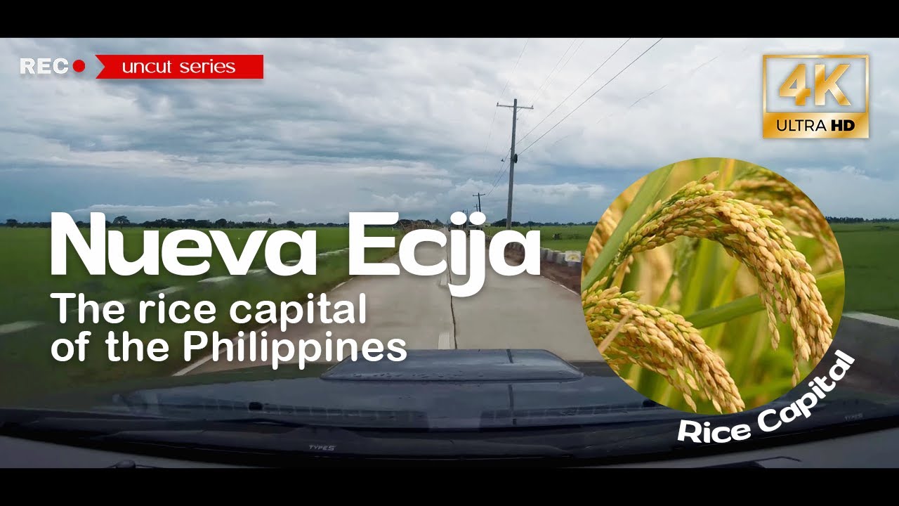 [4K] NUEVA ECIJA FULL DRIVE: The Rice Capital of the Philippines ...