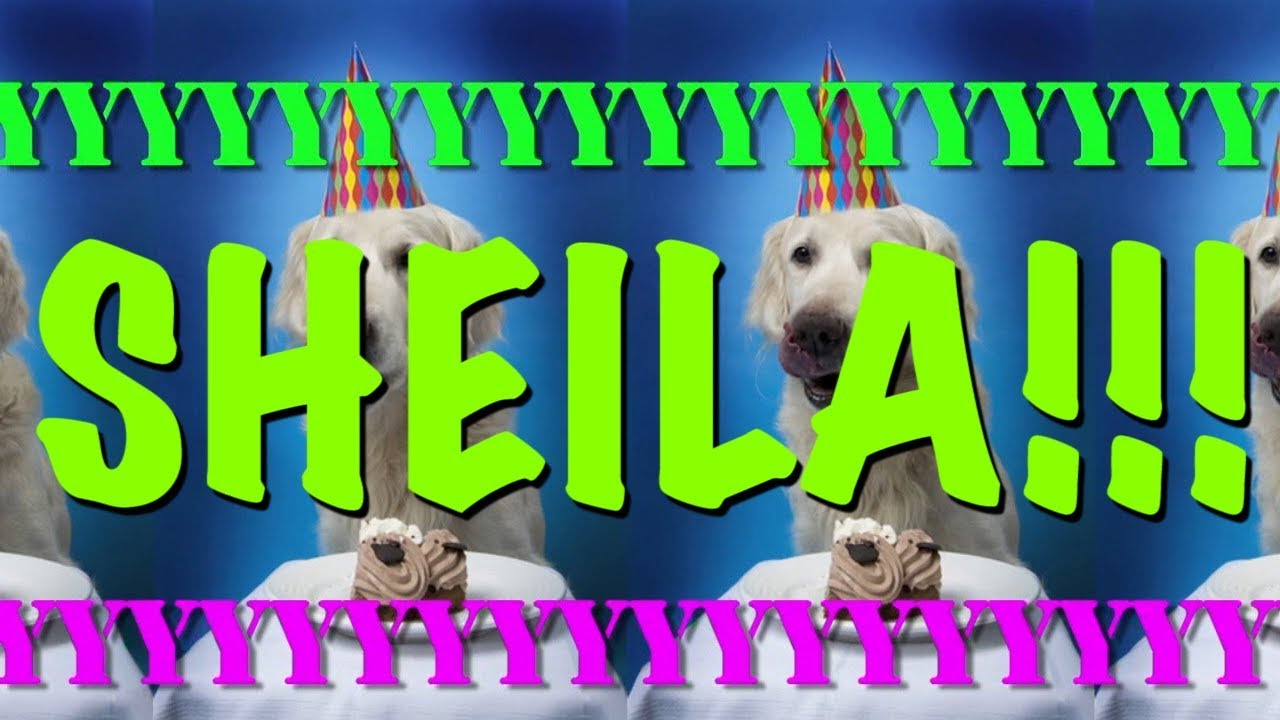 HAPPY BIRTHDAY SHEILA   EPIC Happy Birthday Song