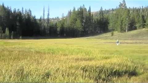 Bonus DaGroup High Sierra Video