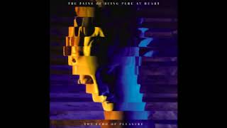 The Pains Of Being Pure At Heart - The Echo Of Pleasure (2017) Resimi