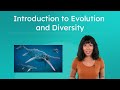 Biology: Biodiversity and Evolution Quiz