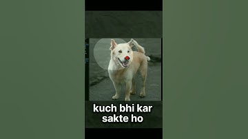 I Spent 30 Days Creating AI Tech Reels - Here