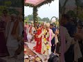 Subah  harshvardhan wedding pheras