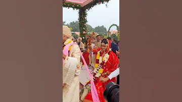 Subah & Harshvardhan Wedding Pheras