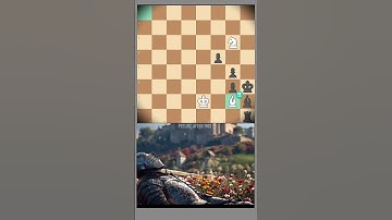 Beautiful Checkmate. #chess #chessgame #chessplayer #chessboard #chessmaster #chesslover #chessmoves