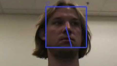 Real Time Face Tracking with pose estimation | www.vision-ary.net