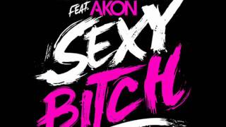 David Guetta Feat Akon Sexy Bitch (Lyrics)