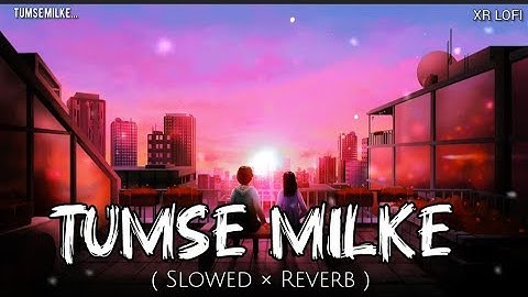 Tumse Milke ( Slowed ×Reverb ) | Tedi Medi | Sameer Khan, Priyanka, Sanjeev | XR LOFI