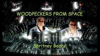 Woodpecker from Space (Radio Edit) - Spritney Bears - 4K