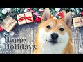 Joy to the World - 7 days of holiday music with doggo