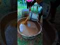 Proses Penyemaian Bibit Padi
