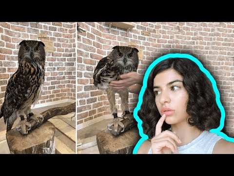 თქვენი ცხოვრება ერთი დიდი ტყუილია!