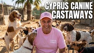 BEHIND THE SCENES AT CYPRUS CANINE CASTAWAYS - RESCUE UPDATE!