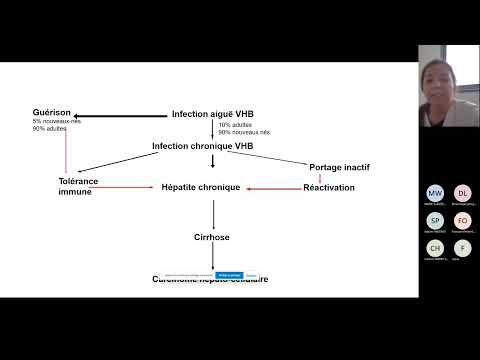 WEBINAIRE VHB Docteur M MESZAROS