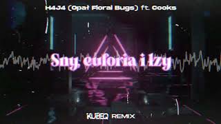 H4J4 (Opał Floral Bugs) ft. Cooks - Sny, euforia i łzy ( KubeQ Remix ) 2023