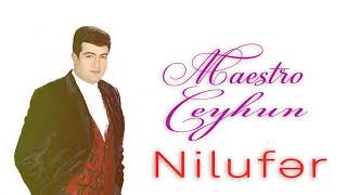 Maestro Ceyhun Nilufer (2023) Resimi