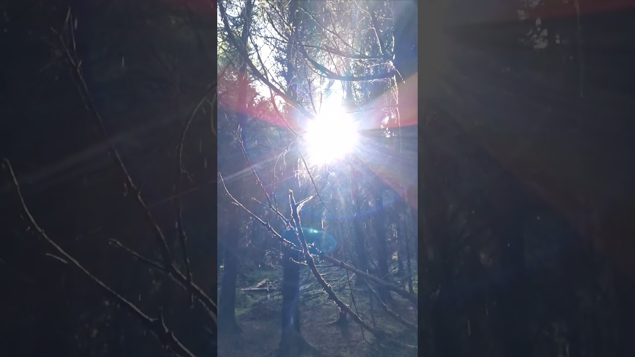 Real magic is on this places... I love walking in these humid forests, full of life and historys.