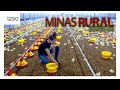 MINAS RURAL - 1290 - 03/09/20121