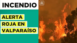 Incendio Valparaíso | Decretan Alerta Roja tras amenaza hacia sectores habitados
