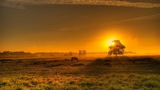 Erzya - Nostalgia (Alan Walker style music remake) FL Studio