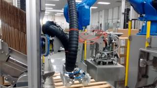 www.consolidatedtechnologies.ca "all-in-one" robotic case packer/palletizer