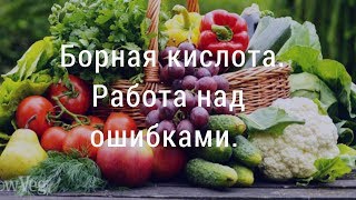 Борная кислота. Работа над ошибками