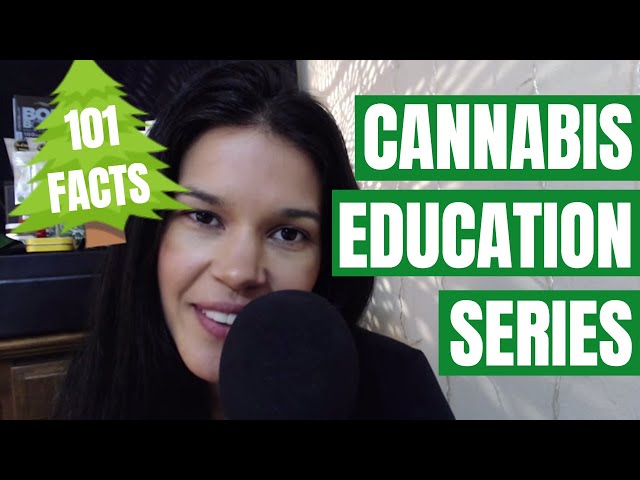 ASMR Facts About Cannabis [Cannabis Education Series | Part 4]