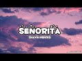 Senorita Shawn Mendis Songs Viral Subscribe Senorita Shawn Mendis Songs Viral Subscribe