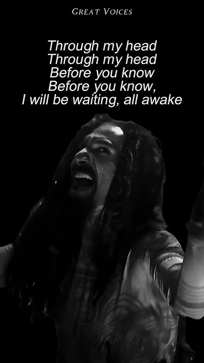 System Of A Down - Spiders Lyrics Spiders - SYSTEM OF A DOWN (Insolated Vocals + Lyrics) #systemofadown #