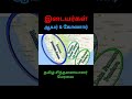 இடையர்கள் #tamil #tamilhistory #tamilhistoricalstory #ayar #aayar #konar #mahabharat #mahabharatham