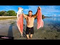 Record Size Fish Catch Clean Cook